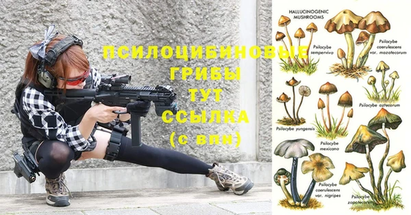 синтетический гашиш Кинешма