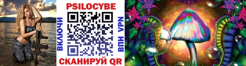 Купить где  Абаза  Галлюциногенные грибы Psilocybe 